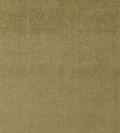 Mystere Fabric by Warwick MOSS Mystere Fabric by Warwick MOSS