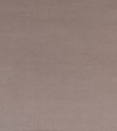 Mystere Fabric by Warwick PUMICE Mystere Fabric by Warwick PUMICE