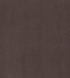 Plush Velvet Fabric by Warwick Asphalt Plush Velvet Fabric by Warwick Asphalt