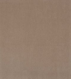Plush Velvet Fabric by Warwick Bark Plush Velvet Fabric by Warwick Bark