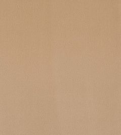 Plush Velvet FR Fabric by Warwick Cafe Plush Velvet FR Fabric by Warwick Cafe