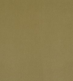 Plush Velvet FR Fabric by Warwick Celery Plush Velvet FR Fabric by Warwick Celery