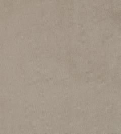 Plush Velvet Fabric by Warwick Fog Plush Velvet Fabric by Warwick Fog