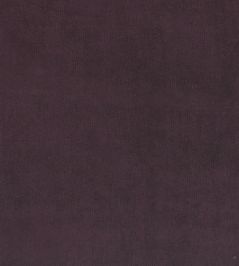Plush Velvet FR Fabric by Warwick Grape Plush Velvet FR Fabric by Warwick Grape