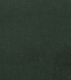 Plush Velvet FR Fabric by Warwick Hunter Plush Velvet FR Fabric by Warwick Hunter