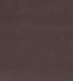 Plush Velvet FR Fabric by Warwick Mole Plush Velvet FR Fabric by Warwick Mole