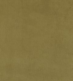Plush Velvet Fabric by Warwick Moss Plush Velvet Fabric by Warwick Moss