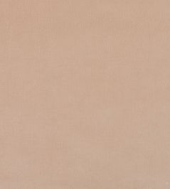 Plush Velvet FR Fabric by Warwick Petal Plush Velvet FR Fabric by Warwick Petal