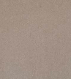 Plush Velvet Fabric by Warwick Taupe Plush Velvet Fabric by Warwick Taupe