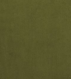 Plush Velvet FR Fabric by Warwick Vine Plush Velvet FR Fabric by Warwick Vine