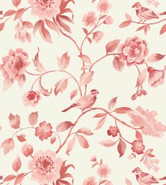 Watercolour Bird Wallpaper by George & Minnie Raspberry Watercolour Bird Wallpaper by George & Minnie Raspberry