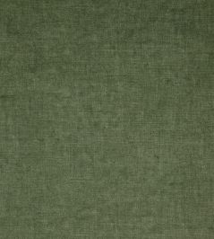 Fiora Fabric by Wemyss Olive Fiora Fabric by Wemyss Olive