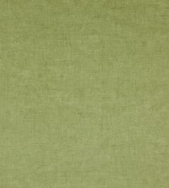 Fiora Fabric by Wemyss Grass Fiora Fabric by Wemyss Grass