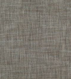Orcus Fabric by Wemyss Coin Orcus Fabric by Wemyss Coin