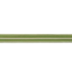 Westport Striped Border Trimming by Samuel & Sons Spring Green Westport Striped Border Trimming by Samuel & Sons Spring Green