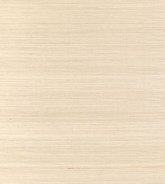 Windward Sisal Wallpaper by Thibaut Sand Windward Sisal Wallpaper by Thibaut Sand