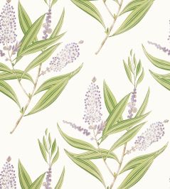 Winter Bud Wallpaper by Anna French Lavender Winter Bud Wallpaper by Anna French Lavender