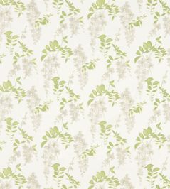 Wisteria Blossom Fabric by Sanderson Silver/Apple Wisteria Blossom Fabric by Sanderson Silver/Apple
