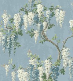 Wisteria Wallpaper by Woodchip & Magnolia Botanical Powder Blue Wisteria Wallpaper by Woodchip & Magnolia Botanical Powder Blue