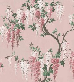 Wisteria Wallpaper by Woodchip & Magnolia Pink Bloom Wisteria Wallpaper by Woodchip & Magnolia Pink Bloom