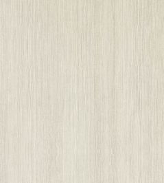 Wood Veneer Wallpaper by Harlequin Silver Birch Wood Veneer Wallpaper by Harlequin Silver Birch