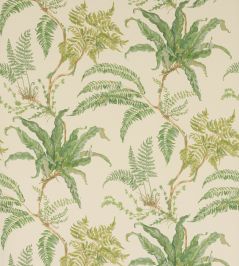 Woodfern Wallpaper by Colefax and Fowler Green Woodfern Wallpaper by Colefax and Fowler Green