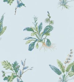 Woodland Wallpaper by Anna French Blue & Green Woodland Wallpaper by Anna French Blue & Green
