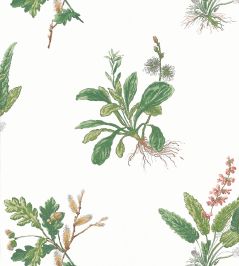 Woodland Wallpaper by Anna French Green & Blush Woodland Wallpaper by Anna French Green & Blush