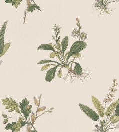 Woodland Wallpaper by Anna French Green on Natural Woodland Wallpaper by Anna French Green on Natural