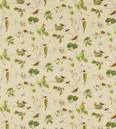 Woodland Chorus Fabric by Sanderson Birch/Multi Woodland Chorus Fabric by Sanderson Birch/Multi
