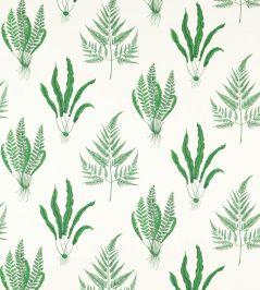 Woodland Ferns Fabric by Sanderson Botanical Green Woodland Ferns Fabric by Sanderson Botanical Green