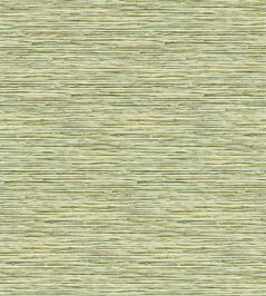 Xan Wallpaper by Clarke & Clarke Palm Xan Wallpaper by Clarke & Clarke Palm
