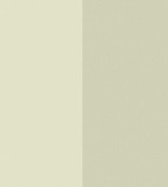 XXL Lines Wallpaper by Caselio Vert Amande XXL Lines Wallpaper by Caselio Vert Amande