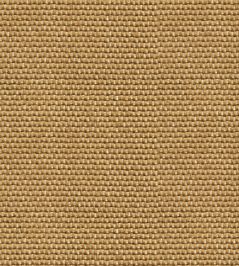 Yuca Wallpaper by Coordonne Gold Yuca Wallpaper by Coordonne Gold