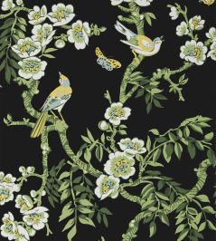 Yukio Wallpaper by Thibaut Black Yukio Wallpaper by Thibaut Black