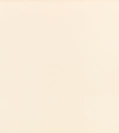 Z Suede Fabric by Zinc Bone Z Suede Fabric by Zinc Bone