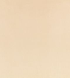 Z Suede Fabric by Zinc Gazelle Z Suede Fabric by Zinc Gazelle
