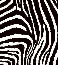 Zebra Fabric by Arley House Classic Zebra Fabric by Arley House Classic