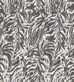 Zebra Wallpaper by Ohpopsi Sable Zebra Wallpaper by Ohpopsi Sable