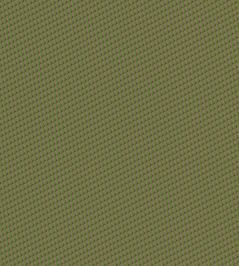 Zigzag Fabric by Nobilis Vert Pomme Zigzag Fabric by Nobilis Vert Pomme