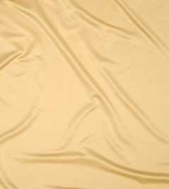 Solice Fabric by Zimmer + Rohde 813 Solice Fabric by Zimmer + Rohde 813