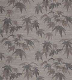Acer Wallpaper by Zoffany Ash/Pewter Acer Wallpaper by Zoffany Ash/Pewter