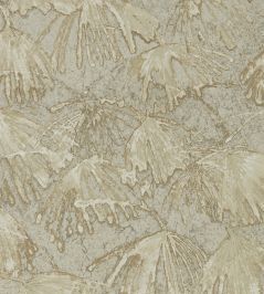 Iliad Wallpaper by Zoffany Fossil Iliad Wallpaper by Zoffany Fossil