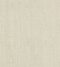 Watered Silk Wallpaper by Zoffany Dove Watered Silk Wallpaper by Zoffany Dove