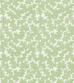 Zori Wallpaper by Harlequin Forest / First Light Zori Wallpaper by Harlequin Forest / First Light