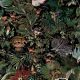 Menagerie Of Extinct Animals Wallpaper by Moooi Raven
