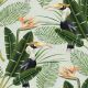 Birds of Paradise Wallpaper by MINDTHEGAP Green