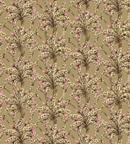 Afrika Damask Wallpaper by Cole & Son Safari & Blush Afrika Damask Wallpaper by Cole & Son Safari & Blush