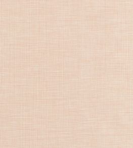 Ainsley Fabric by Thibaut Shell Ainsley Fabric by Thibaut Shell