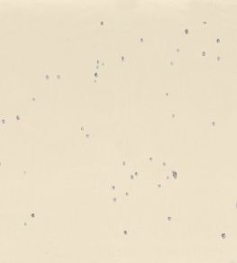 Alienor Fabric by Casamance Vanille Platine